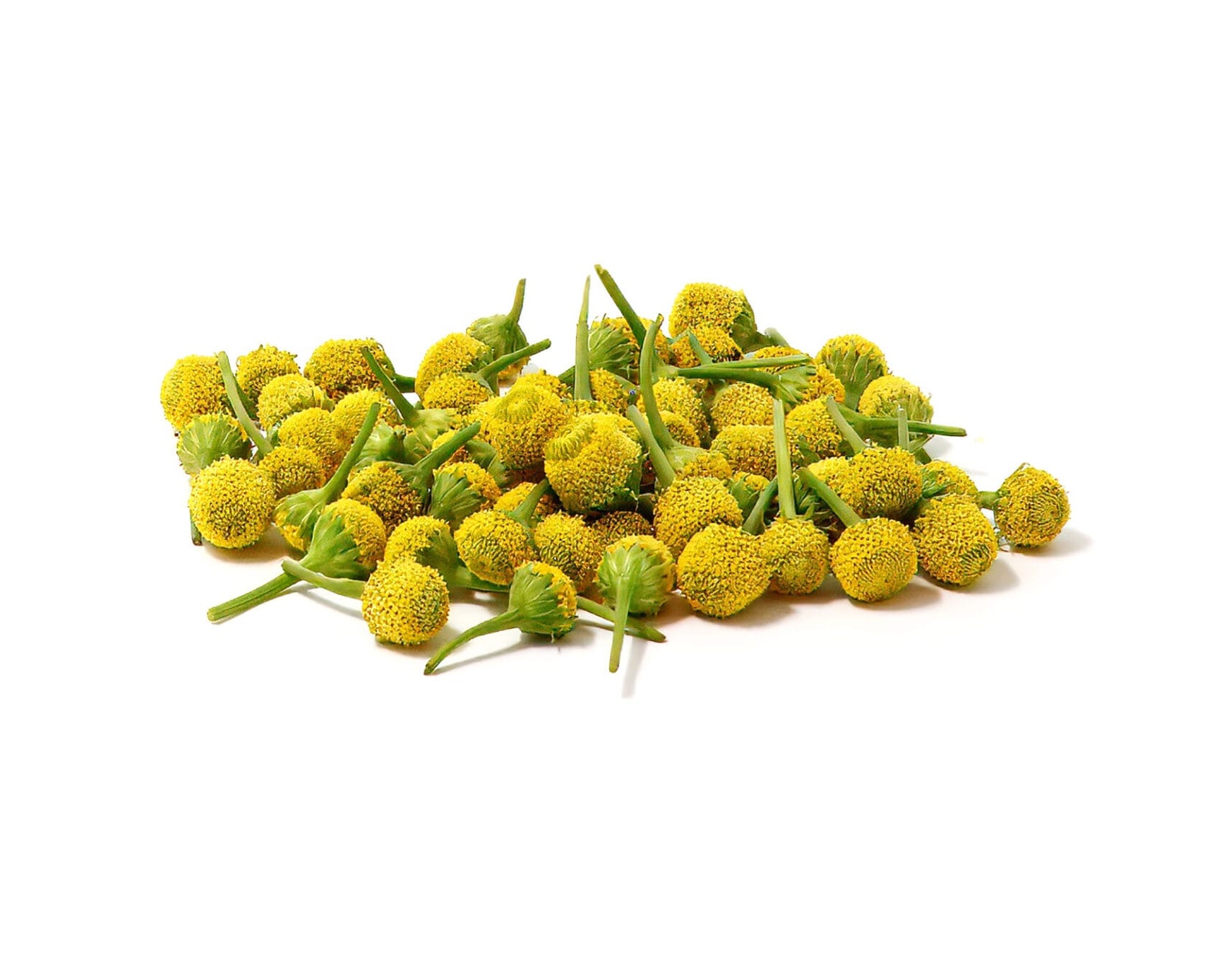 Electric Flower Seed